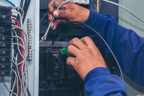 Best Generator Installation Services  in Goodrich, MI